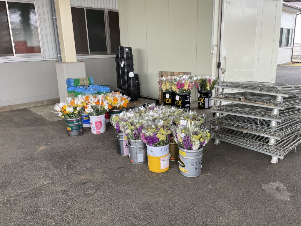 産地間交流で出荷待ちの花たち